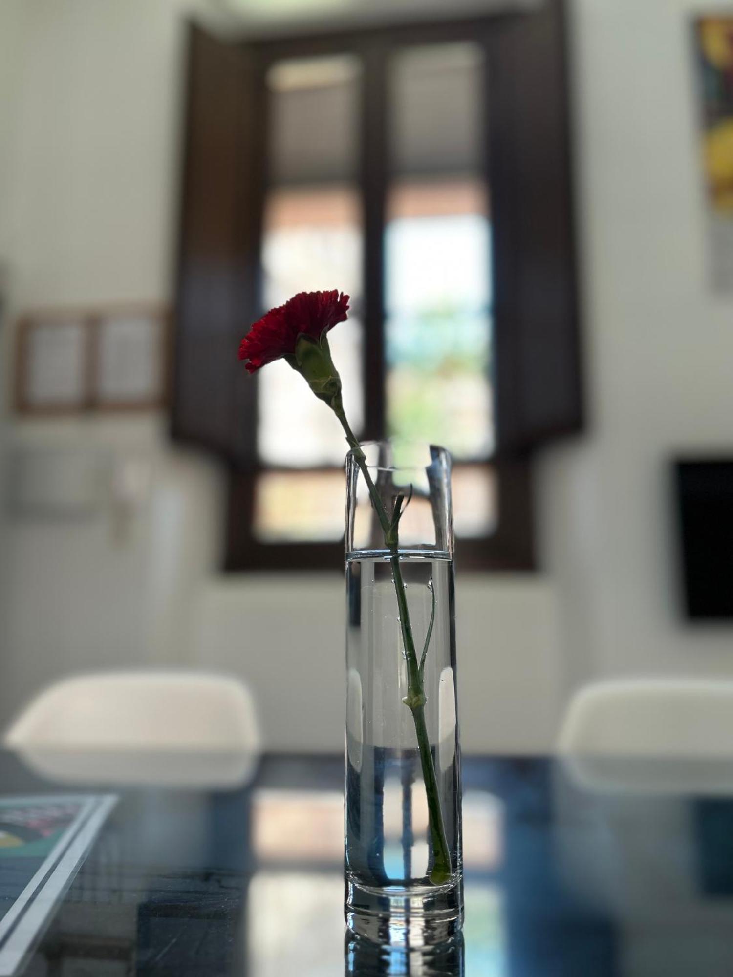 Romanilla Loft غرناطة المظهر الخارجي الصورة